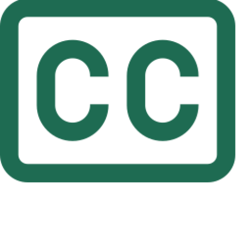 Request Captions for Videos